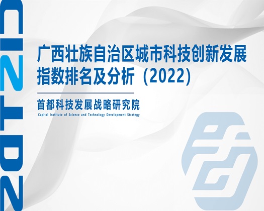 啊啊..大鸡巴插逼视频【成果发布】广西壮族自治区城市科技创新发展指数排名及分析（2022）